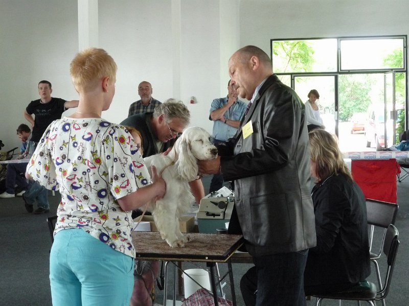 Litomerice 2009 043.jpg